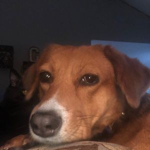 Meet your Posher, Pam